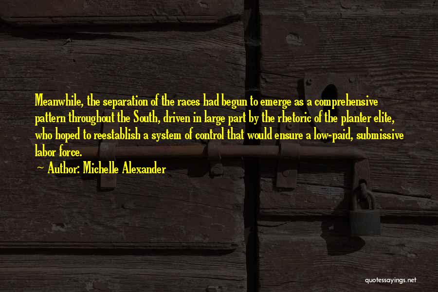 Michelle Alexander Quotes: Meanwhile, The Separation Of The Races Had Begun To Emerge As A Comprehensive Pattern Throughout The South, Driven In Large