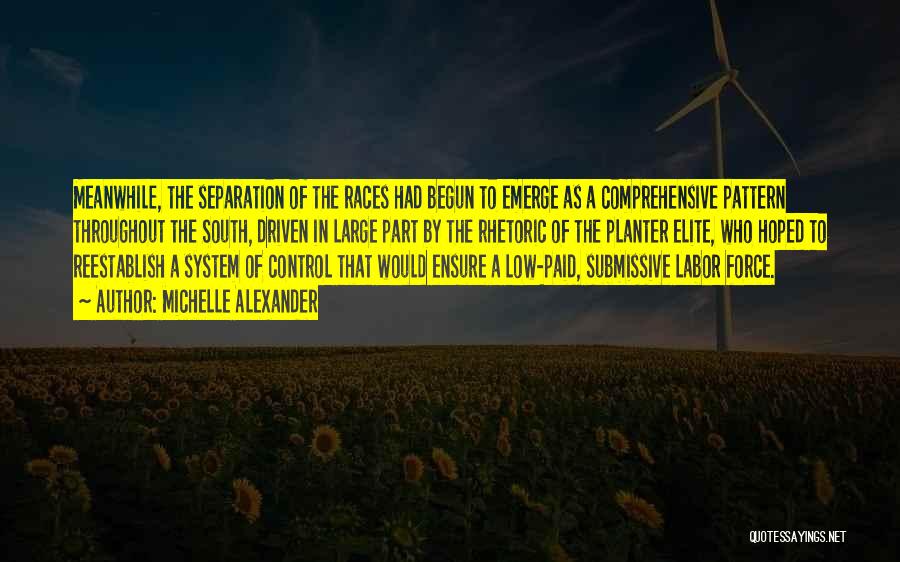 Michelle Alexander Quotes: Meanwhile, The Separation Of The Races Had Begun To Emerge As A Comprehensive Pattern Throughout The South, Driven In Large