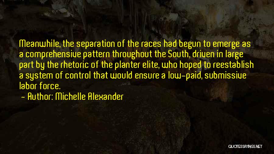 Michelle Alexander Quotes: Meanwhile, The Separation Of The Races Had Begun To Emerge As A Comprehensive Pattern Throughout The South, Driven In Large