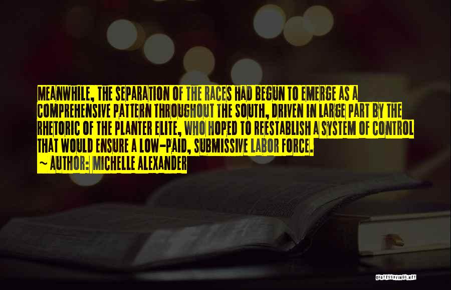 Michelle Alexander Quotes: Meanwhile, The Separation Of The Races Had Begun To Emerge As A Comprehensive Pattern Throughout The South, Driven In Large