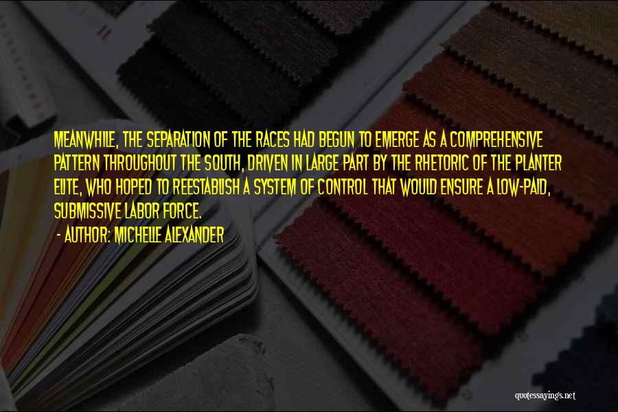 Michelle Alexander Quotes: Meanwhile, The Separation Of The Races Had Begun To Emerge As A Comprehensive Pattern Throughout The South, Driven In Large