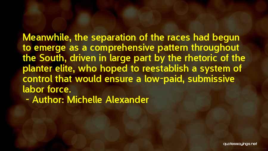 Michelle Alexander Quotes: Meanwhile, The Separation Of The Races Had Begun To Emerge As A Comprehensive Pattern Throughout The South, Driven In Large