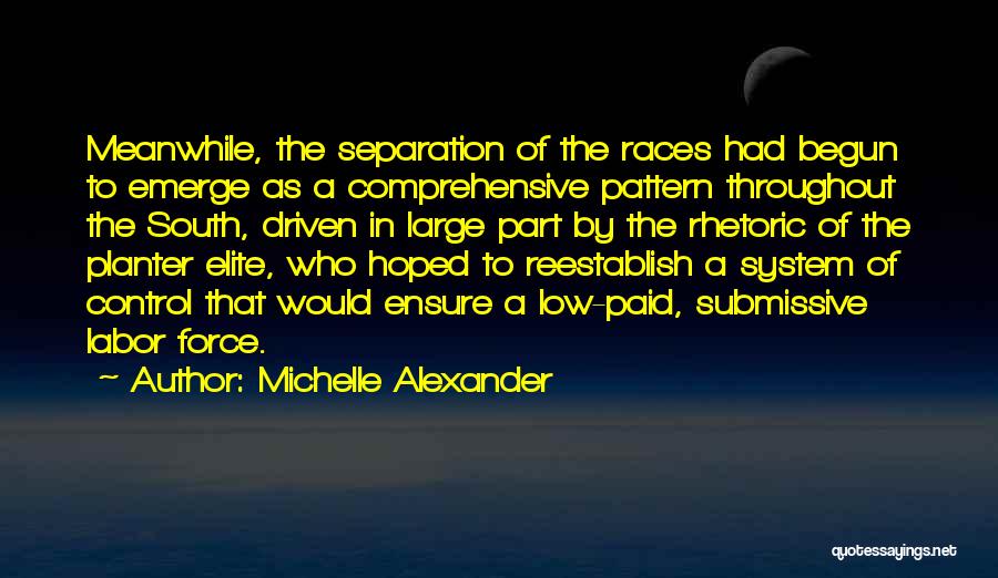 Michelle Alexander Quotes: Meanwhile, The Separation Of The Races Had Begun To Emerge As A Comprehensive Pattern Throughout The South, Driven In Large