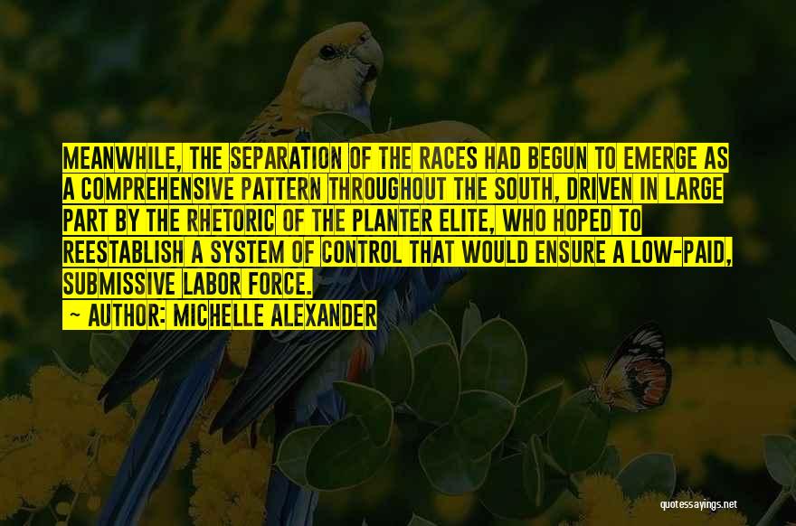 Michelle Alexander Quotes: Meanwhile, The Separation Of The Races Had Begun To Emerge As A Comprehensive Pattern Throughout The South, Driven In Large
