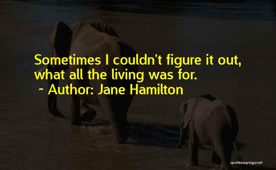 Jane Hamilton Quotes: Sometimes I Couldn't Figure It Out, What All The Living Was For.