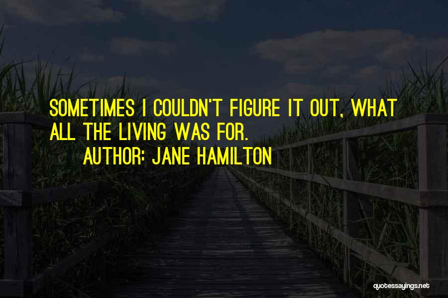 Jane Hamilton Quotes: Sometimes I Couldn't Figure It Out, What All The Living Was For.