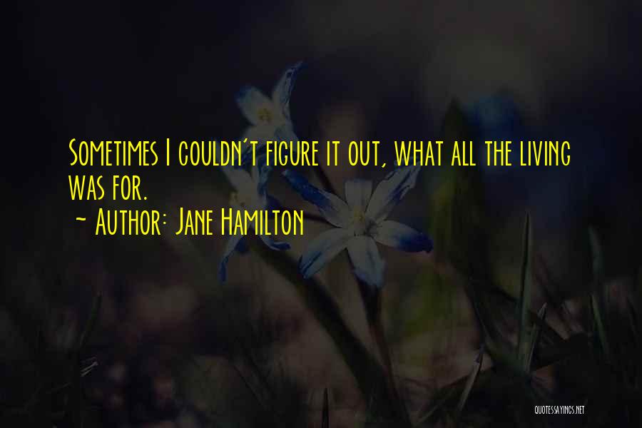 Jane Hamilton Quotes: Sometimes I Couldn't Figure It Out, What All The Living Was For.