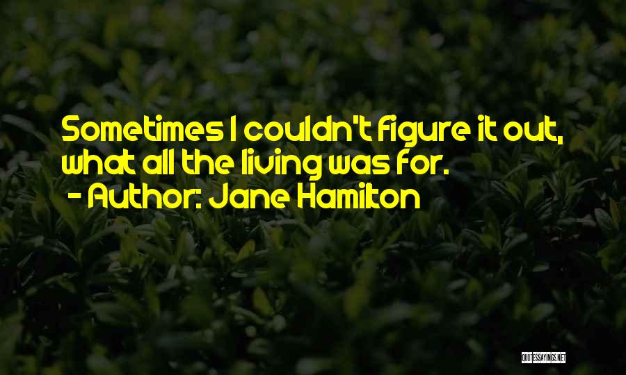 Jane Hamilton Quotes: Sometimes I Couldn't Figure It Out, What All The Living Was For.