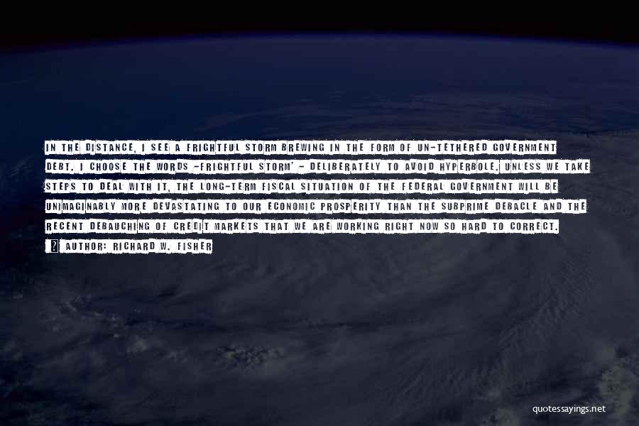 Richard W. Fisher Quotes: In The Distance, I See A Frightful Storm Brewing In The Form Of Un-tethered Government Debt. I Choose The Words