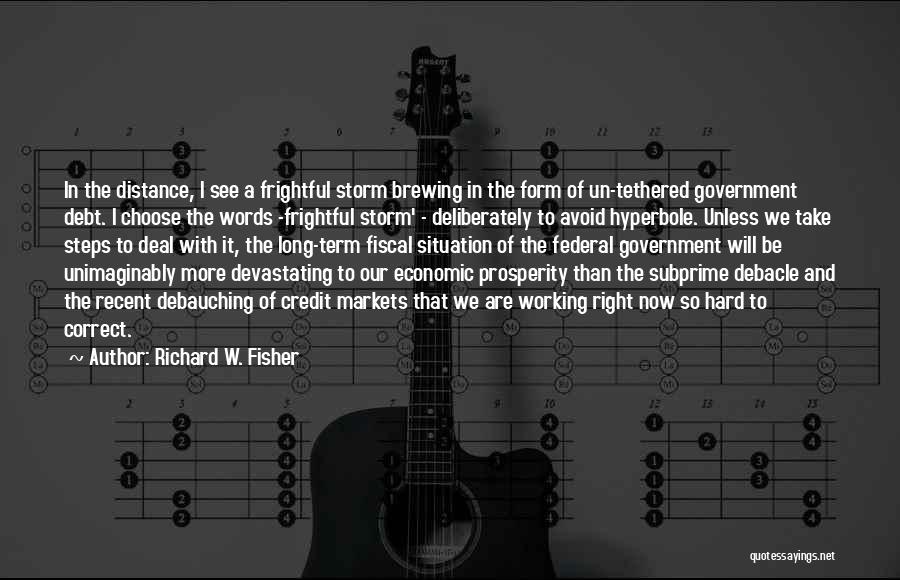 Richard W. Fisher Quotes: In The Distance, I See A Frightful Storm Brewing In The Form Of Un-tethered Government Debt. I Choose The Words