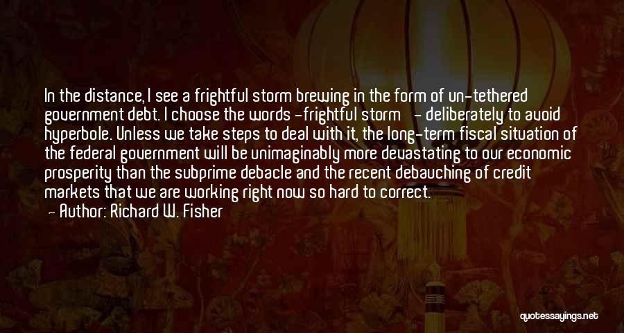 Richard W. Fisher Quotes: In The Distance, I See A Frightful Storm Brewing In The Form Of Un-tethered Government Debt. I Choose The Words