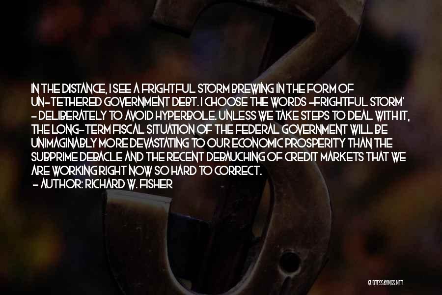 Richard W. Fisher Quotes: In The Distance, I See A Frightful Storm Brewing In The Form Of Un-tethered Government Debt. I Choose The Words