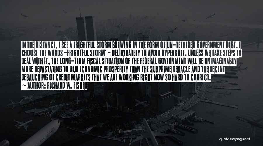 Richard W. Fisher Quotes: In The Distance, I See A Frightful Storm Brewing In The Form Of Un-tethered Government Debt. I Choose The Words