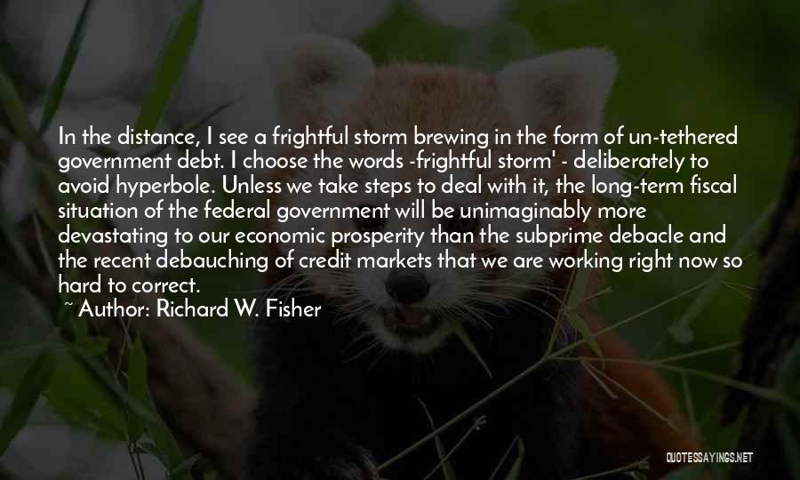 Richard W. Fisher Quotes: In The Distance, I See A Frightful Storm Brewing In The Form Of Un-tethered Government Debt. I Choose The Words