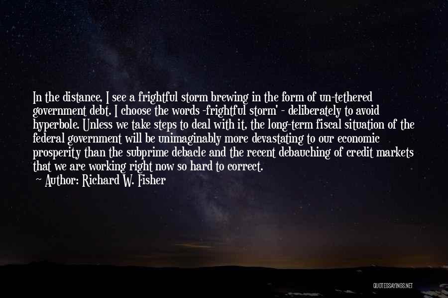 Richard W. Fisher Quotes: In The Distance, I See A Frightful Storm Brewing In The Form Of Un-tethered Government Debt. I Choose The Words