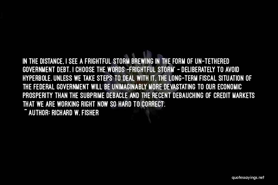 Richard W. Fisher Quotes: In The Distance, I See A Frightful Storm Brewing In The Form Of Un-tethered Government Debt. I Choose The Words