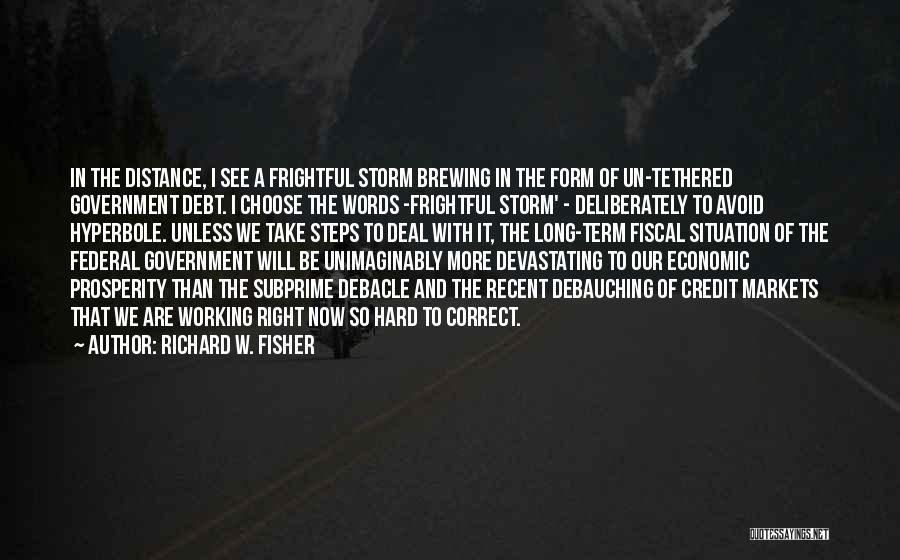 Richard W. Fisher Quotes: In The Distance, I See A Frightful Storm Brewing In The Form Of Un-tethered Government Debt. I Choose The Words