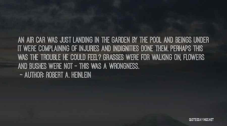 Robert A. Heinlein Quotes: An Air Car Was Just Landing In The Garden By The Pool And Beings Under It Were Complaining Of Injuries