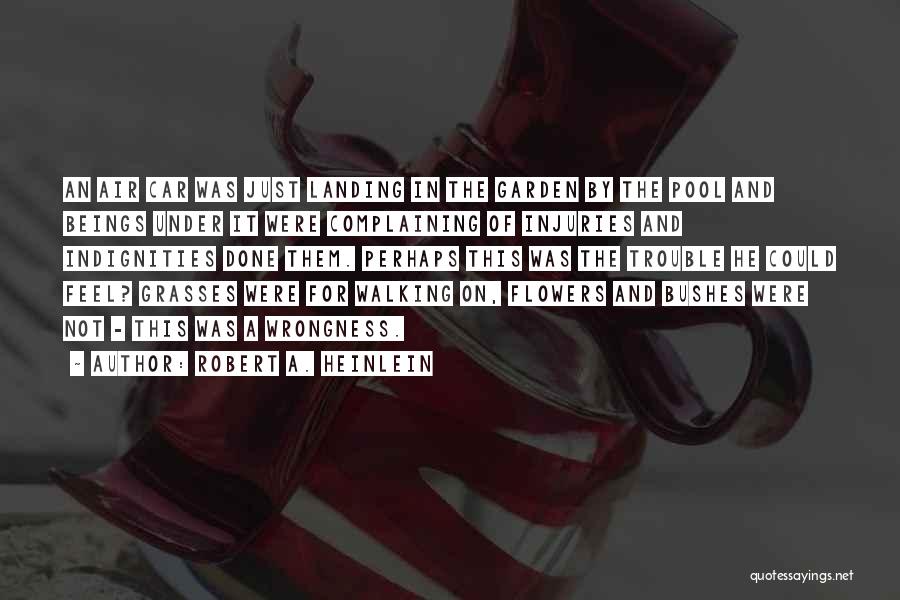 Robert A. Heinlein Quotes: An Air Car Was Just Landing In The Garden By The Pool And Beings Under It Were Complaining Of Injuries