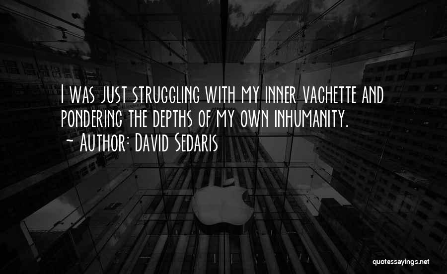 David Sedaris Quotes: I Was Just Struggling With My Inner Vachette And Pondering The Depths Of My Own Inhumanity.