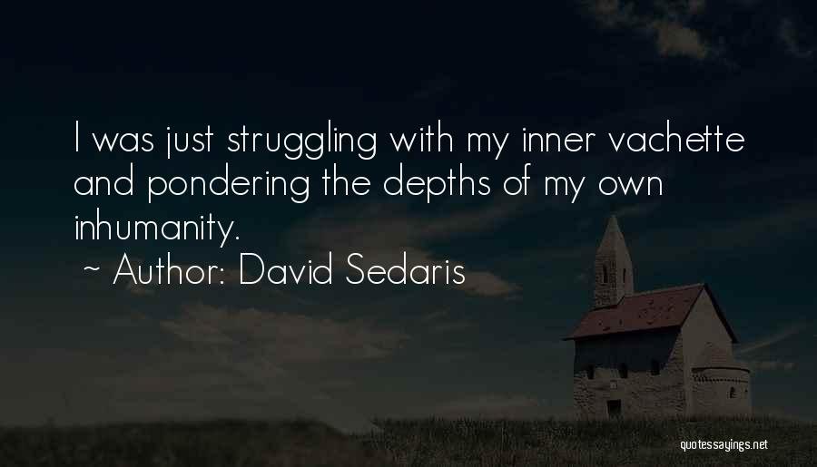 David Sedaris Quotes: I Was Just Struggling With My Inner Vachette And Pondering The Depths Of My Own Inhumanity.