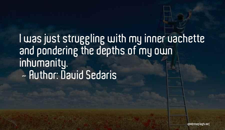 David Sedaris Quotes: I Was Just Struggling With My Inner Vachette And Pondering The Depths Of My Own Inhumanity.