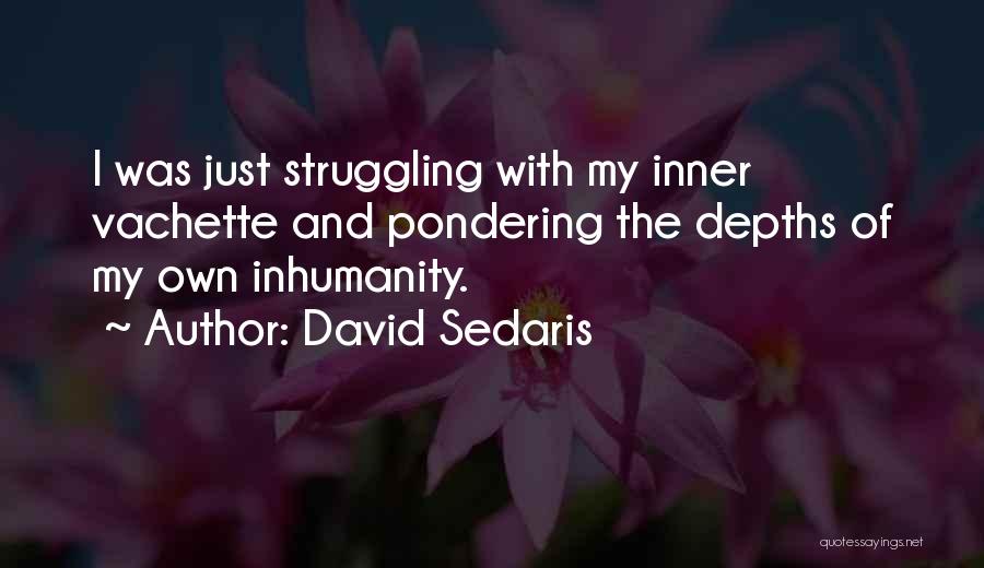 David Sedaris Quotes: I Was Just Struggling With My Inner Vachette And Pondering The Depths Of My Own Inhumanity.