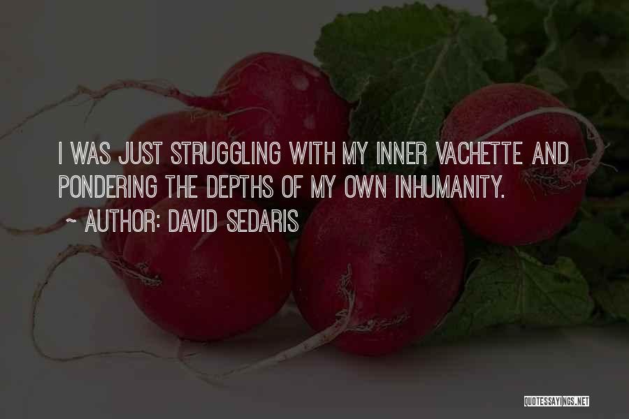 David Sedaris Quotes: I Was Just Struggling With My Inner Vachette And Pondering The Depths Of My Own Inhumanity.