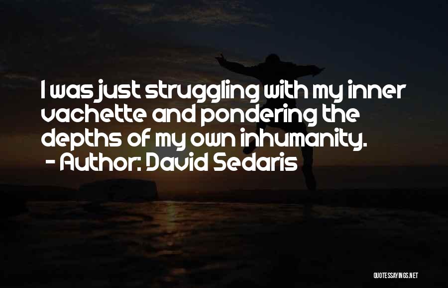 David Sedaris Quotes: I Was Just Struggling With My Inner Vachette And Pondering The Depths Of My Own Inhumanity.