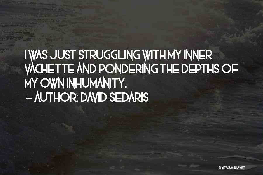 David Sedaris Quotes: I Was Just Struggling With My Inner Vachette And Pondering The Depths Of My Own Inhumanity.