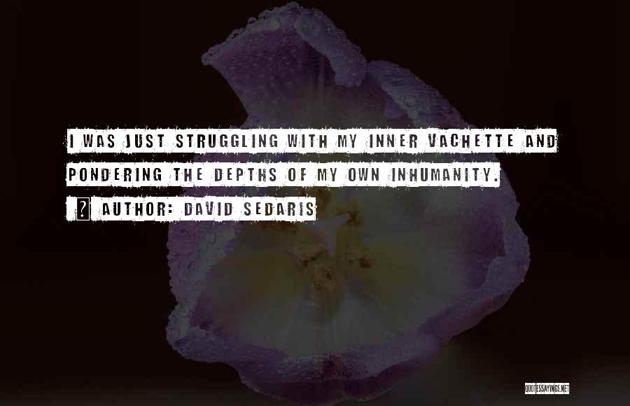 David Sedaris Quotes: I Was Just Struggling With My Inner Vachette And Pondering The Depths Of My Own Inhumanity.