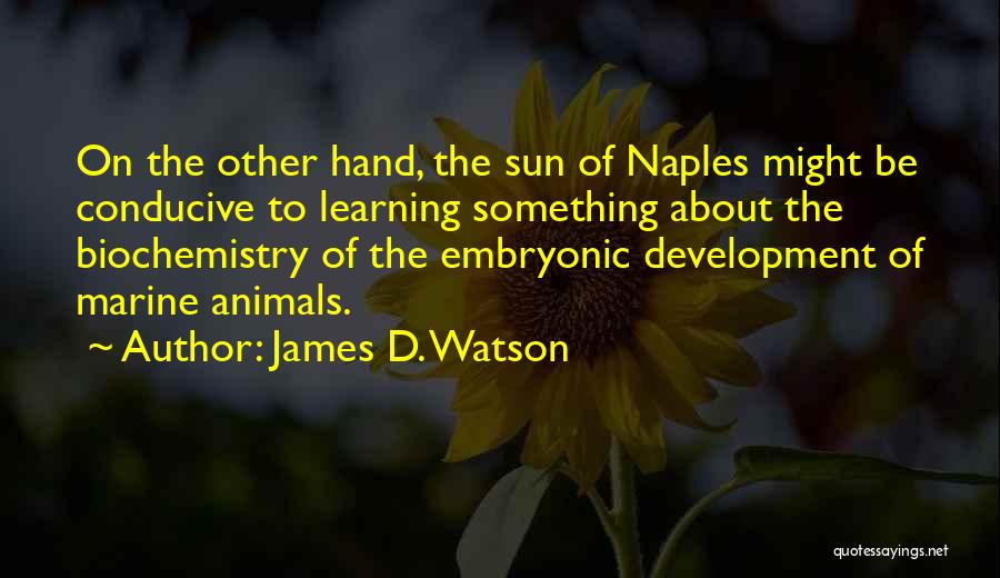 James D. Watson Quotes: On The Other Hand, The Sun Of Naples Might Be Conducive To Learning Something About The Biochemistry Of The Embryonic