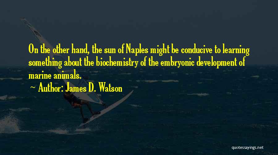 James D. Watson Quotes: On The Other Hand, The Sun Of Naples Might Be Conducive To Learning Something About The Biochemistry Of The Embryonic