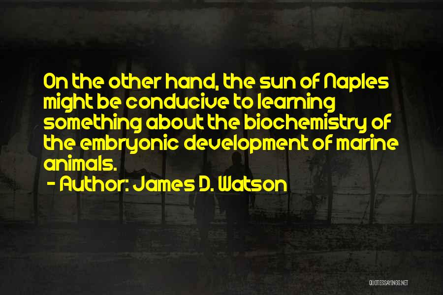 James D. Watson Quotes: On The Other Hand, The Sun Of Naples Might Be Conducive To Learning Something About The Biochemistry Of The Embryonic