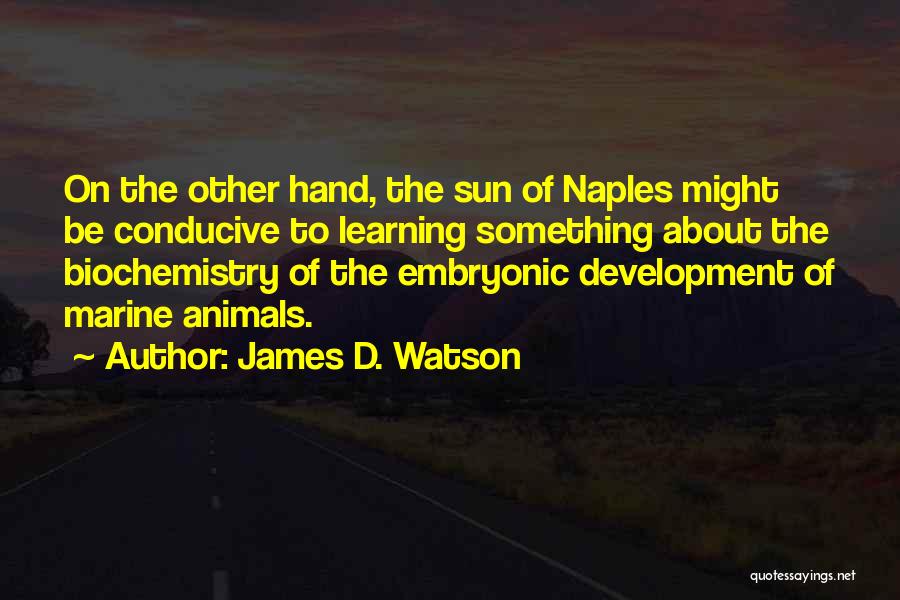 James D. Watson Quotes: On The Other Hand, The Sun Of Naples Might Be Conducive To Learning Something About The Biochemistry Of The Embryonic