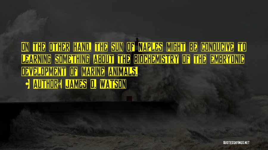 James D. Watson Quotes: On The Other Hand, The Sun Of Naples Might Be Conducive To Learning Something About The Biochemistry Of The Embryonic