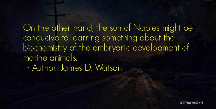 James D. Watson Quotes: On The Other Hand, The Sun Of Naples Might Be Conducive To Learning Something About The Biochemistry Of The Embryonic