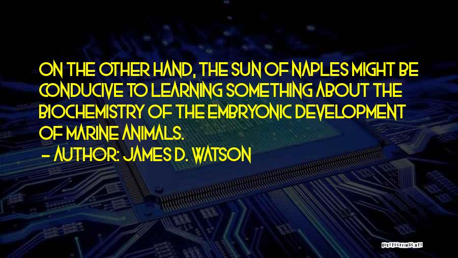 James D. Watson Quotes: On The Other Hand, The Sun Of Naples Might Be Conducive To Learning Something About The Biochemistry Of The Embryonic