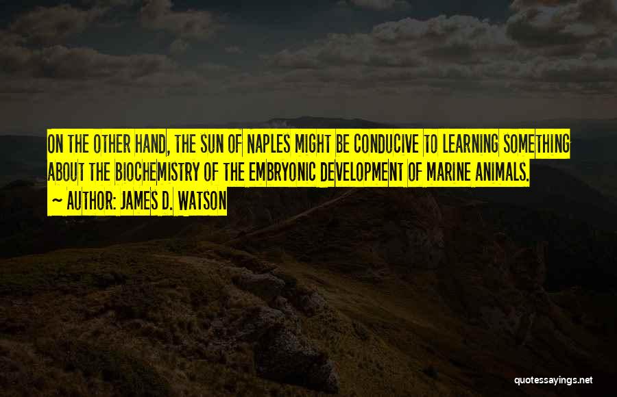 James D. Watson Quotes: On The Other Hand, The Sun Of Naples Might Be Conducive To Learning Something About The Biochemistry Of The Embryonic