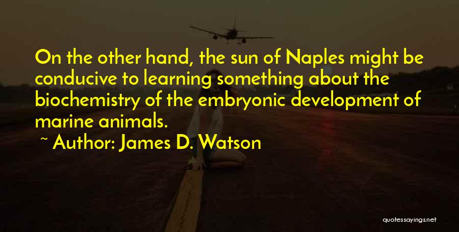 James D. Watson Quotes: On The Other Hand, The Sun Of Naples Might Be Conducive To Learning Something About The Biochemistry Of The Embryonic