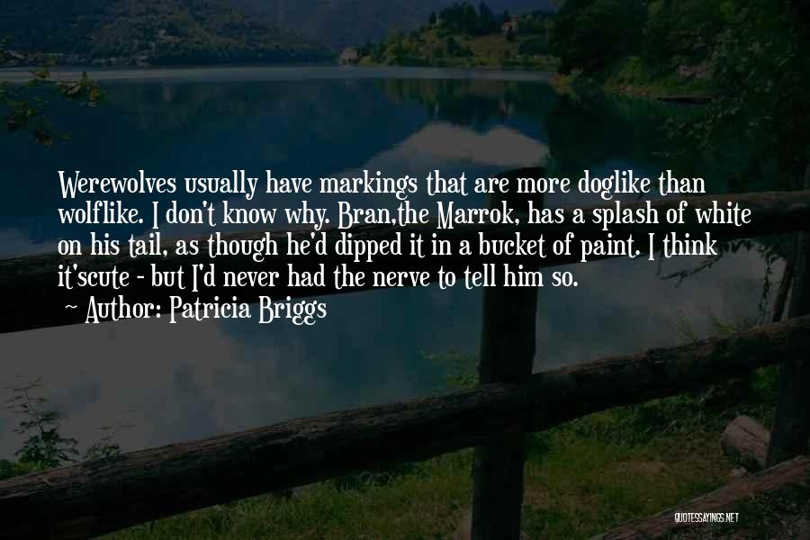Patricia Briggs Quotes: Werewolves Usually Have Markings That Are More Doglike Than Wolflike. I Don't Know Why. Bran,the Marrok, Has A Splash Of