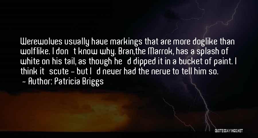 Patricia Briggs Quotes: Werewolves Usually Have Markings That Are More Doglike Than Wolflike. I Don't Know Why. Bran,the Marrok, Has A Splash Of