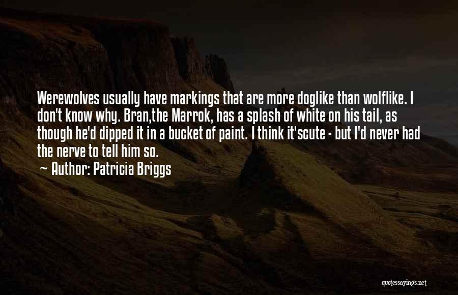 Patricia Briggs Quotes: Werewolves Usually Have Markings That Are More Doglike Than Wolflike. I Don't Know Why. Bran,the Marrok, Has A Splash Of