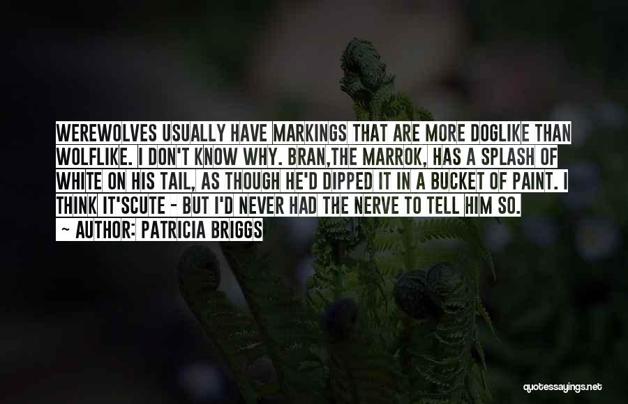 Patricia Briggs Quotes: Werewolves Usually Have Markings That Are More Doglike Than Wolflike. I Don't Know Why. Bran,the Marrok, Has A Splash Of