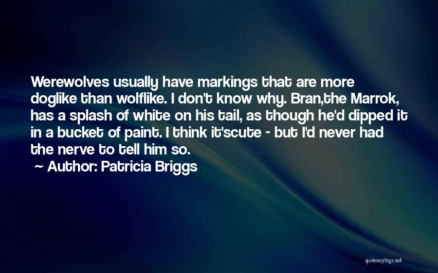 Patricia Briggs Quotes: Werewolves Usually Have Markings That Are More Doglike Than Wolflike. I Don't Know Why. Bran,the Marrok, Has A Splash Of