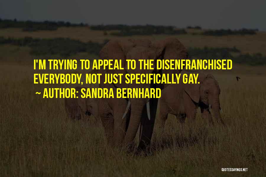 Sandra Bernhard Quotes: I'm Trying To Appeal To The Disenfranchised Everybody, Not Just Specifically Gay.