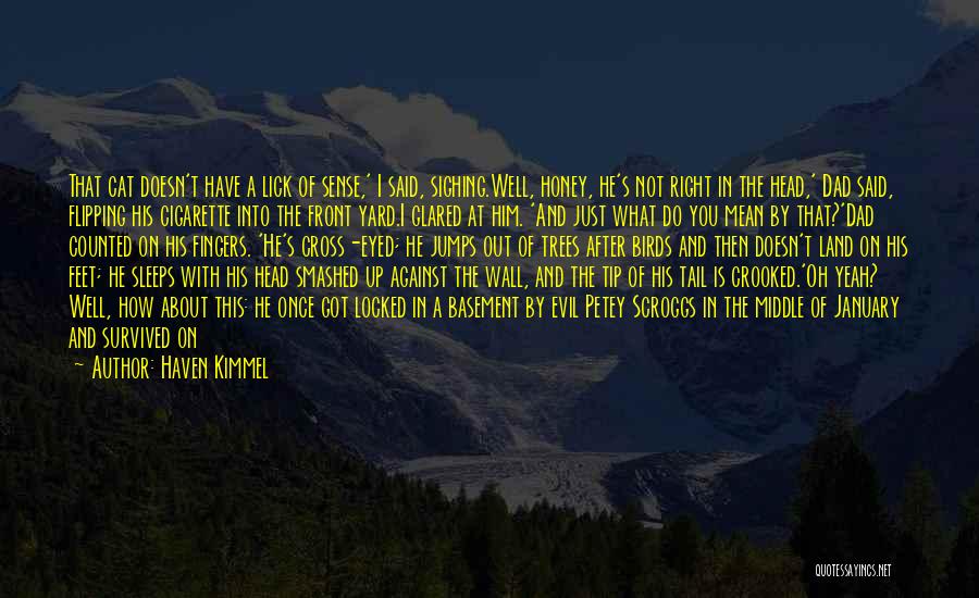 Haven Kimmel Quotes: That Cat Doesn't Have A Lick Of Sense,' I Said, Sighing.well, Honey, He's Not Right In The Head,' Dad Said,