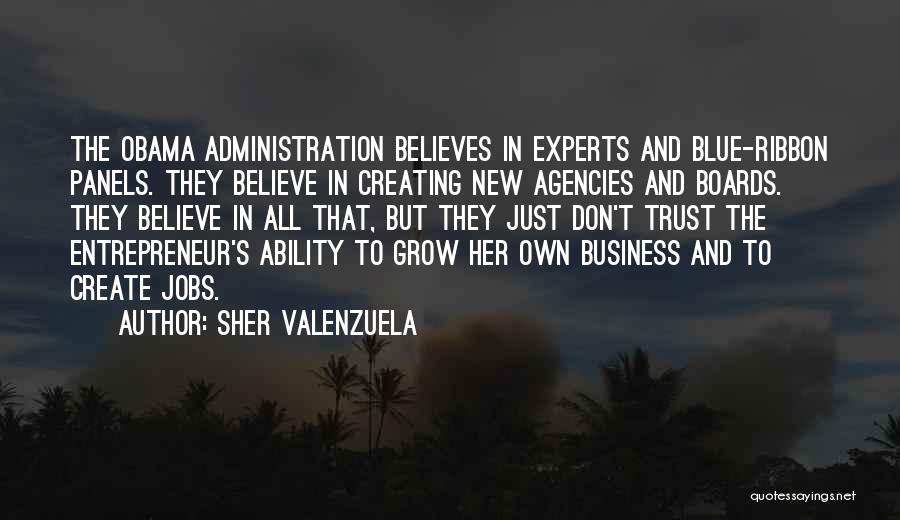 Sher Valenzuela Quotes: The Obama Administration Believes In Experts And Blue-ribbon Panels. They Believe In Creating New Agencies And Boards. They Believe In