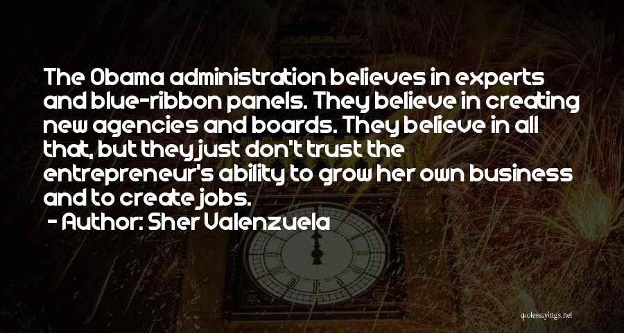 Sher Valenzuela Quotes: The Obama Administration Believes In Experts And Blue-ribbon Panels. They Believe In Creating New Agencies And Boards. They Believe In