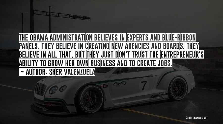 Sher Valenzuela Quotes: The Obama Administration Believes In Experts And Blue-ribbon Panels. They Believe In Creating New Agencies And Boards. They Believe In